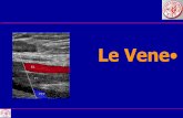 Calf Vein Imaging - SIECsiec.zenix.it/Dispense/Corso_Ecografia_Vascolare/lezioni PN 2014... · GSV: Longest vein- 10-20 valves-duplicated ... Major perforators in the LSV Crocket’s