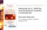 manifestazioni cliniche e trattamento - ASMN · Clostridium difficile (1978-2003) ... Teicoplanina Vancomicina Cloramfenicolo Rifampicina Carbapenemi ... Binary toxin genes cdtA cdtB