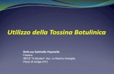 Utilizzo della Tossina Botulinica - manus-world.com · MODIFIED BARTHEL INDEX (SHAH VERSION) - se la mano è funzionale