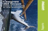 Cosa si nasconde in una scatoletta? - Greenpeace USA aziende coprono la maggior parte del mercato italiano del tonno in scatola. Dei marchi monitorati, 22 in tutto, fanno parte sia