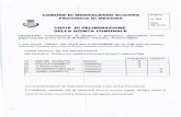 COPIA DI DELIBERAZIONE - Comune di Montalbano Elicona · VISTA la delibera di GM. n. 99/2011 di approvazione del PEG 2011; VISTO 10 Statuto Comunale; VISTO il vigente regolamento