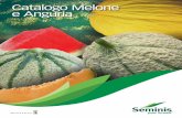 Catalogo Melone e Anguria - seminisitaly.s3.amazonaws.com · Boutique Melone charentais: Tabelle Melone retato italiano con fetta: SV9424ML, Pavolo, Brigante Melone retato italiano