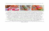 Il fantastico mondo di Alessandra vi presenta una raccolta ...blog.giallozafferano.it/.../01/macarons-racolta-in-per-blog-pdf1.pdf · ricette di macarons e ganache ... venerabile