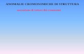 ANOMALIE CROMOSOMICHE DI STRUTTURAterzadecade.it/download/barbara_mcclintock_-_il_gene_non_è_una... · necessitano di rotture dei cromosomi. una rottura su un cromosoma delezione
