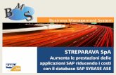 Business Management System - sapvod.edgesuite.netsapvod.edgesuite.net/SAP_Forum/italianforum/pdfs/... · Nel corso degli anni Sybase si è posizionato con un database di altissimo