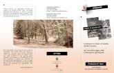 Valutare lo stato di salute delle foreste: dal ... _ws_16dic11.pdf · Wolynski A.— Servizio Foreste e fauna, PAT 10.15 Bilanci e prospettive di 20 anni di monitoraggio fitosanitario