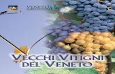 COP VITIGNI 16-12-2005 11:45 Pagina 1 - Veneto Agricoltura Vitigni... · Prosecco DOC Conegliano-Valdobbiadene, DOC Montello e Colli Asolani, ... Negli ultimi anni di lavoro sono