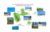 Guida Guadalupa - guadalupaonlineguadalupaonline.com/guida_guadalupa.pdf · guadalupaonline.com – PANORAMICA Wind-surf e kite-surf al sud di Grande-Terre, per il fun board la laguna