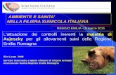 NELLA FILIERA SUINICOLA ITALIANA - Rivista di Suinicolturasuinicoltura.edagricole.it/wp-content/uploads/sites/19/2015/03/F... · AMBIENTE E SANITA’ ... “Aujeszky’sdisease is