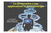 Favarato: La proteomica e sue applicazioni in microbiologia · Dalla genomica alla proteomica Un gene-un-enzima-una-funzione (Beadle e Tatum, 1941), fa intravedere l’esistenza di