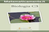 BIOLOGIA C3 - Matematicamente · BIOLOGIA C3 5 5.1 Il DNA e il materiale genetico ..... 91 5.2 La struttura della molecola del DNA ...