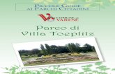 Parco di Villa Toeplitz - varesecittagiardino.it · Cenni storici Il Parco di Villa Toe-plitz, situato in località Sant’Ambrogio, ai piedi del Sacro Monte, è stato acquisito il