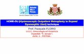 HOME-DU (Hysteroscopic Outpatient Metroplasty to Expand ... · HOME-DU (Hysteroscopic Outpatient Metroplasty to Expand Dysmorphic Uteri) technique Table I : Main characteristics of
