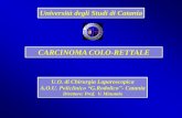 CARCINOMA COLO-RETTALE - …chaosscorpion.altervista.org/Medicina/Chirurgia Generale/Slide... · La chirurgia laparoscopica del colon-retto risulta un intervento complesso ma fattibile