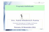 Avv. Astrid Wiedersich Avena - Marchi e Disegni .2016-11-07  Avv. Astrid Wiedersich Avena Consorzio