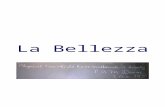 LA BELLEZZA - Archimede Project · Web viewElisabetta Breda VB Liceo Scientifico Marco Casagrande A.S. 2015-2016 In copertina la frase di Dirac: “Una legge fisica dovrebbe possedere
