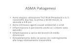 ASMA Patogenesi - Fisiokinesiterapia · ascesso polmonare (tumore squamoso cavitario), sindrome di Horner (miosi omolaterale, ptosi, anidrosi). • 2 ... sindrome della vena cava