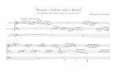 [Sonata a violino solo e basso]classicalsheetmusicgratis.org/wp-content/uploads/STRADELLA-Trio-or... · E E E [Violino] [Violoncello] [Basso Continuo] [Andante, liberamente] D D z