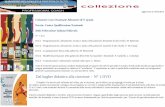 Dal bagher didattico alla ricezione - N° 1 DVD · aggiornato al 27/05/2013 Il minivolley Fondamenti scientifici e metodologia applicativa di: C.Pittera - P.Pedata - P.Ligas - P.Pasqualoni