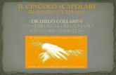 IL CINGOLO SCAPOLARE - Angiolini & Collarini CINGOLO... · 2011-11-23 · La colonna cervicale e il cingolo scapolo-toracico rappresentano un’unità anatomo-funzionale, il cui legame