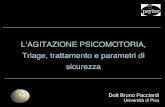 L’AGITAZIONE PSICOMOTORIA, Triage, trattamento e … · L’AGITAZIONE PSICOMOTORIA, Triage, trattamento e parametri di sicurezza Dott Bruno Pacciardi Università di Pisa
