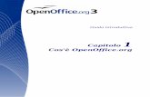 Capitolo 1 Cos'è OpenOffice - plio.it · formato di file obbligatorio per la pubblicazione ed accettazione di documenti. OOo è in grado di aprire e salvare documenti anche in