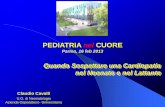 PEDIATRIA nel CUORE - pediatridiparma.it Pr - Cavalli - PEDnelCUORE... · PEDIATRIA nel CUORE Parma, 16 feb 2013 . la clinica di neonato & lattante con sospetta cardiopatia DIFFICOLTÀ