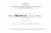 Manuale d’uso del Programma c-Sisma - reluis.it · Manuale d’uso del Programma c-Sisma 3.0 PRO Università degli Studi Padova, Facoltà di Ingegneria, Dipartimento di Costruzioni
