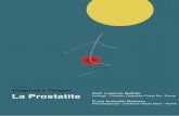 Prof. Lorenzo Defidio La Prostatite · comune è l’Escherichia Coli che si riscontra nell’80% dei casi (vedi fig.10). I germi Gram Positivi responsabili delle prostatiti sono