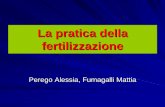 La pratica della fertilizzazione - Marco Acutis home page · •Apporto di elementi nutritivi allo scopo di soddisfare il fabbisogno nutritivo delle colture •Si distinguono in concimi