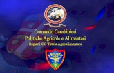 Il Decreto Legislativo 177/2016 (art.7) attribuisce all ... · Il Decreto Legislativo 177/2016 (art.7) attribuisce all’Arma dei Carabinieri competenze in materia di conservazione