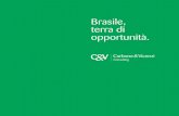Brasile, terra di opportunità. - Carbone & Vicenzisite.carbonevicenzi.com/wp-content/uploads/2015/03/cv_folder.pdf3 6a potenza mondiale (la B del BRICST): Il termine BRIC apparso