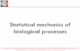 Statistical mechanics of biological processespeople.unica.it/attiliovargiu/files/2015/12/Lecture12... · 2016-01-22 · • Statistical mechanics theoretical framework appropriate