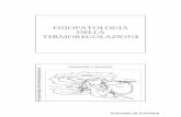 FISIOPATOLOGIA DELLA TERMOREGOLAZIONE - … (2).pdf · Fisiopatologia della termoregolazione Meccanismi di trasferimento di calore Fisiopatologia della termoregolazione Omeostasi