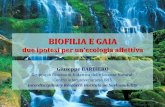 BIOFILIA E GAIA - iris-sostenibilita.net · pone Gaia come soggetto attivo nella relazione con gli ... Barbiero G. (2009) “Revealing children’s biophilia”. In D. Gray, L. ColucciGray