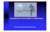  · elementi di anatomia e fisiologia . anatomia fisiologia nervoso respiratorio circolatorio osteoarticolare muscoloscheletrico. struttura dell’organismo umano cellula tessuto
