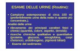 ESAME DELLE URINE - auletta99.net DELLE URINE.pdf · Analisi delle urine: microalbuminuria Determination of proteic levels under the Dipstick detection limits (