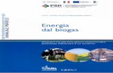 prodotto da effluenti zootecnici, - AIDAaida.casaccia.enea.it/aida/file/ManualeBiogas.pdf · 6 7 La storia del biogas da effluenti zootecnici è stata caratterizzata in Italia da