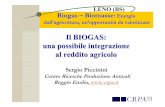 Il BIOGAS: una possibile integrazione al reddito agricoloorizzontenergia.it/download/Appr/BIOMASSA/2008_03_Il Biogas_Una... · Il BIOGAS: una possibile integrazione al reddito agricolo