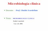 Docente : Prof. Ubaldo Scardellatoinfmestre1anno.altervista.org/index_file/Microbiologia/fond... · Fondamenti di Microbiologia apprendere i concetti di base della microbiologia con
