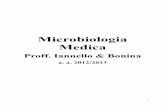 Microbiologia Medica - javadevil.altervista.orgjavadevil.altervista.org/sbob/2a2sV/Microbiologia Medica.pdf · Microbiologia Lezione del 05-03-2013 Prof: Iannello Biologia dei microrganismi