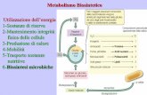 Microbiology: An Introduction · Metabolismo Biosintetico Utilizzazione dell’energia 1-Sostanze di riserva 2-Mantenimento integrità fisica delle cellule 3-Produzione di calore