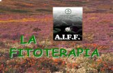 LA A.I.F.F. FITOTERAPIA - agrariosereni.it · La Fitoterapia: Definizione E’Pianta Medicinale ogni vegetale che contiene in uno o più dei suoi organi, sostanze che possono essere