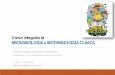 Corso Integrato di MICROBIOLOGIA e MICROBIOLOGIA … · Corso Integrato di MICROBIOLOGIA e MICROBIOLOGIA CLINICA ... prendi appunti in maniera «corretta»: non trascrivete il contenuto