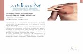 palpatoria NEW foto - AIFROMM - Corsi di Osteopatia …aifromm.it/.../uploads/2014/07/anatomia-palpatoria.pdf · 2016-09-23 · ANATOMIA PALPATORIA La base conoscitiva del percorso
