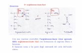 Con una reazione reversibile l’argininosuccinato viene ... · Bilancio del ciclo dell’urea Equazione complessiva: 2NH 4 + + HCO 3-+ 3ATP + H2O urea + 2ADP + 4Pi + AMP + 5H La