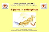 CROCE ROSSA ITALIANA - … · Il parto in emergenza CROCE ROSSA ITALIANA Volontari del Soccorso di Terme Euganee A cura di Vds Davide Bolognin Istruttore di Pronto Soccorso eTrasporto