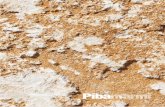 IL PROGETTO PIBAMARMI PIBAMARMI PROJECT di posa Stone likes water Saturnia Escavo Play Basic collection COMPLEMENTI OBJECTS INTERNI INTERIORS MATERIALI MATERIALS Guida alla posa Pulizia