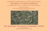 THE BEST OF BOTH WORLDS · Dai paesaggi intermedi ai paesaggi rurbani Paolo Colarossi Sapienza Università di Roma CONFERENZA INTERNAZIONALE DI PROGETTAZIONE URBANA …