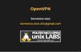 OpenVPN - slides.poul.org · permettere il setup di una PKI, ... client-connect script ] [ --client-disconnect ] ... Debian: /usr/share/doc/openvpn/examples
